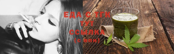 шишки Верея