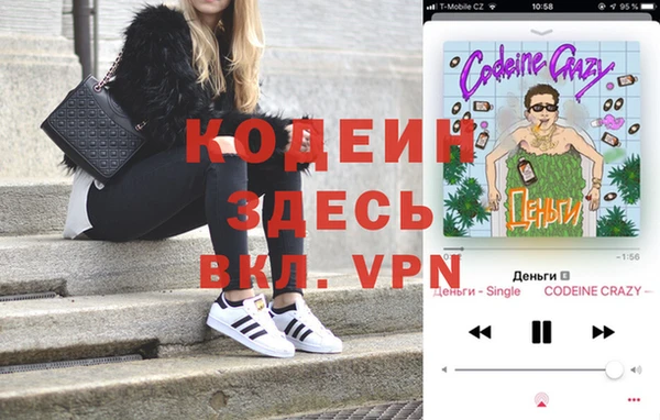 шишки Верея