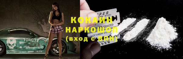шишки Верея