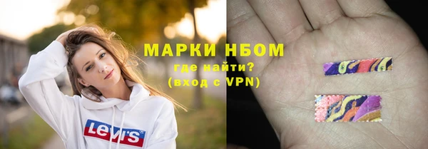 шишки Верея