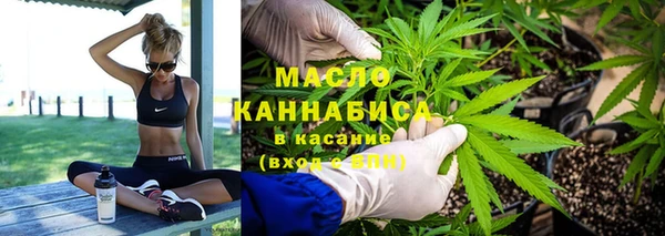 шишки Верея