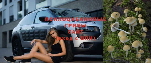 мяу мяу кристалл Бородино