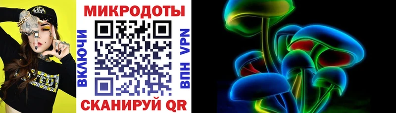 Галлюциногенные грибы Psilocybine cubensis  Псков 